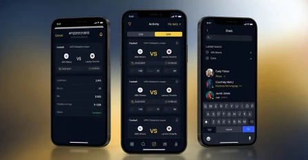pro-gambling-project-screenshot-2