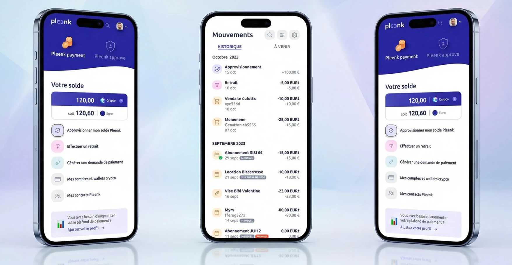 pleenk-project-screenshot-3