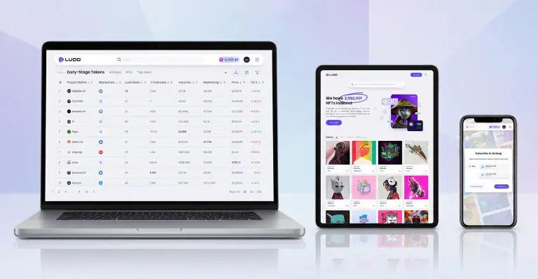 project screenshot 3